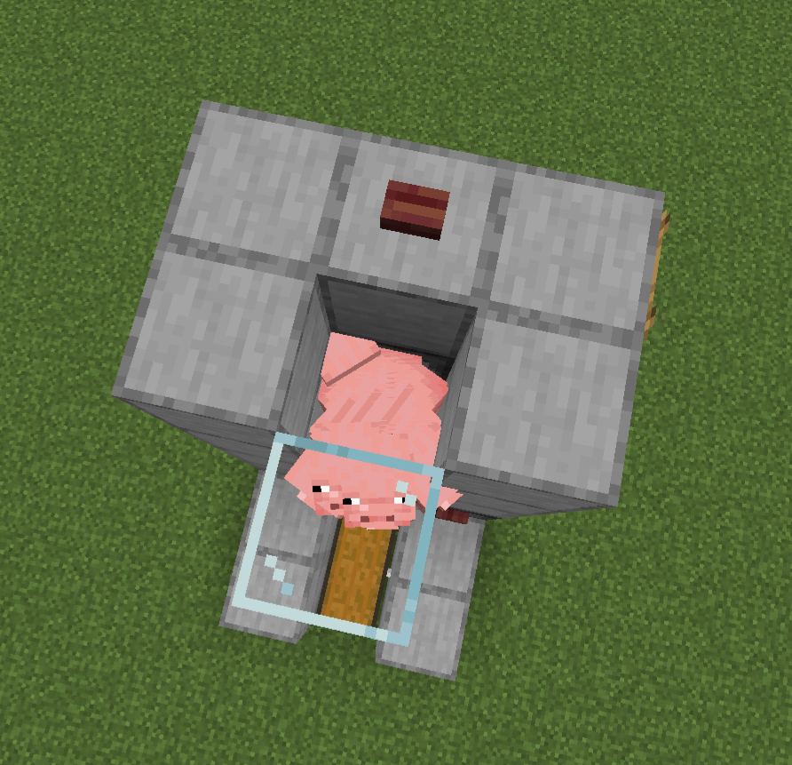 Stage 10 automatic pig farm