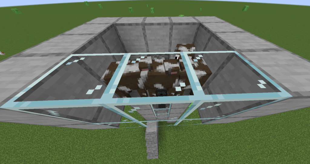 Stage 11 automatic cow farm
