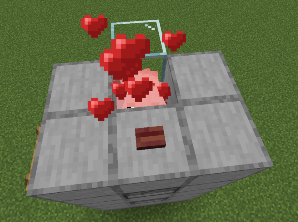 Stage 11 automatic pig farm