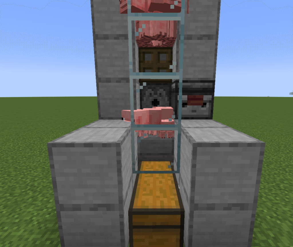Stage 12 automatic pig farm
