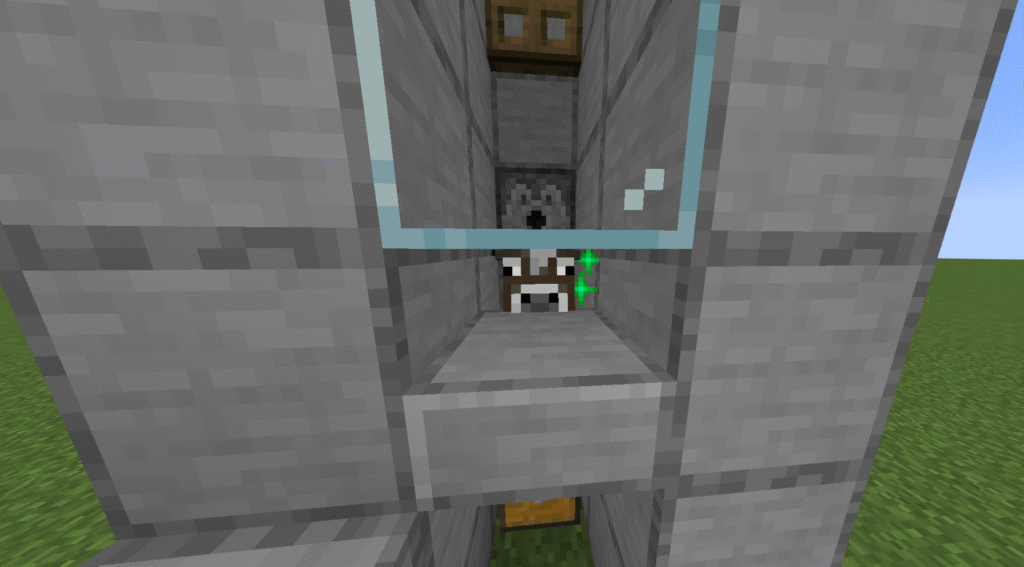 Stage 13 automatic cow farm
