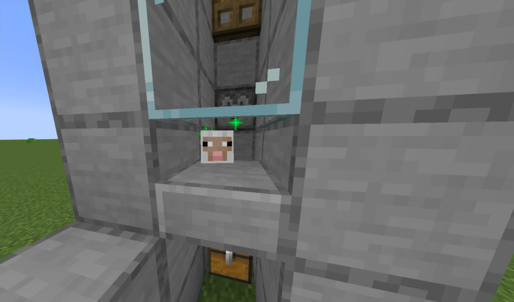 Stage 12 automatic sheep farm