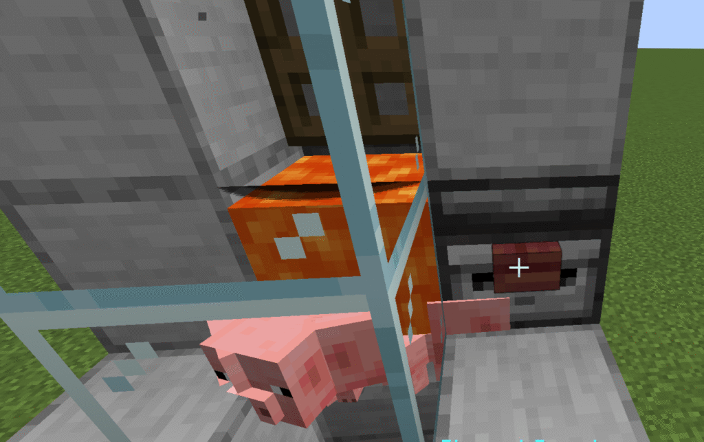 Stage 14 automatic pig farm