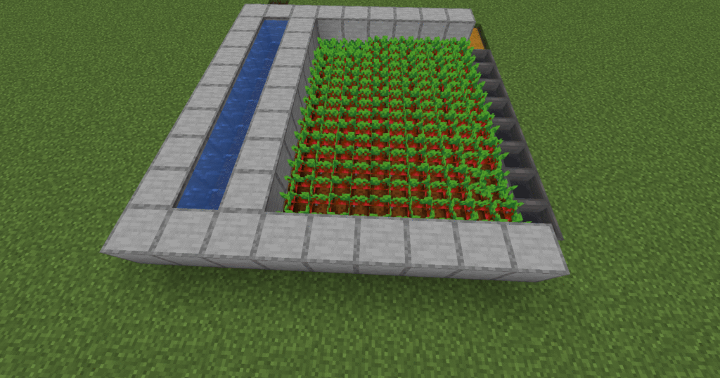 Stage 7 redstone beetroot farm