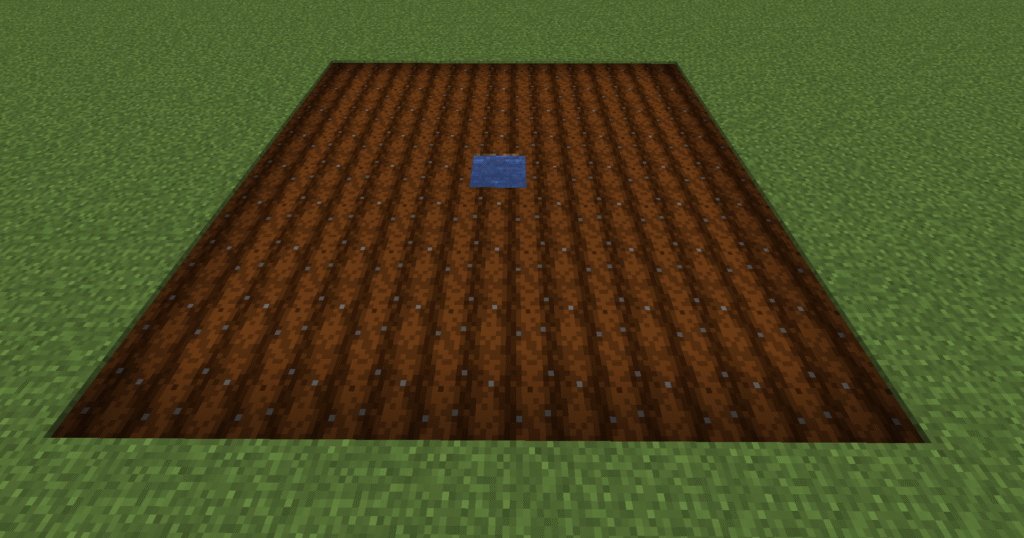 Stage 1 Minecraft beetroot farm