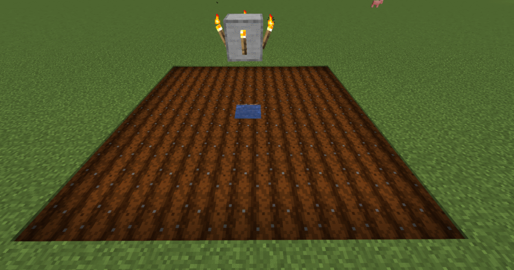 Stage 2 Minecraft beetroot farm