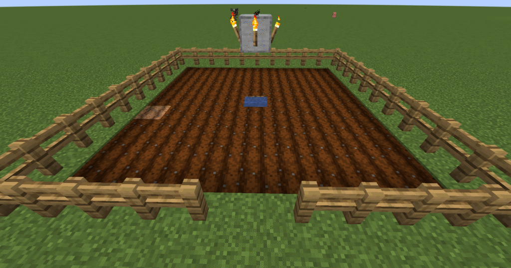 Stage 3 Minecraft beetroot farm