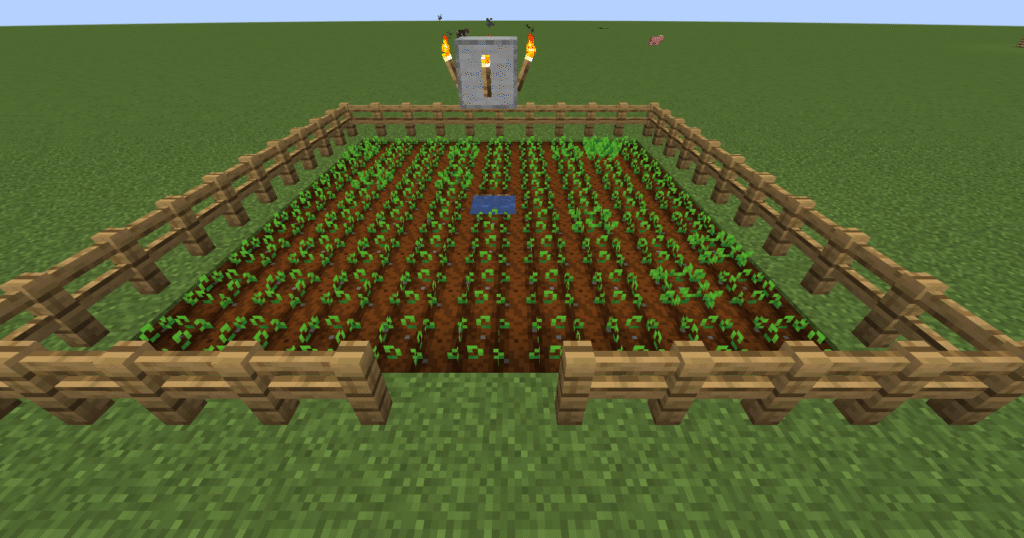 Stage 4 Minecraft beetroot farm