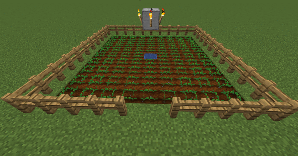 Stage 5 Minecraft carrot farm