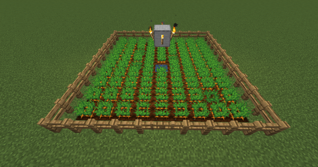 Stage 6 Minecraft carrot farm