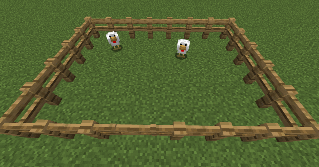 Stage 3 chicken farm