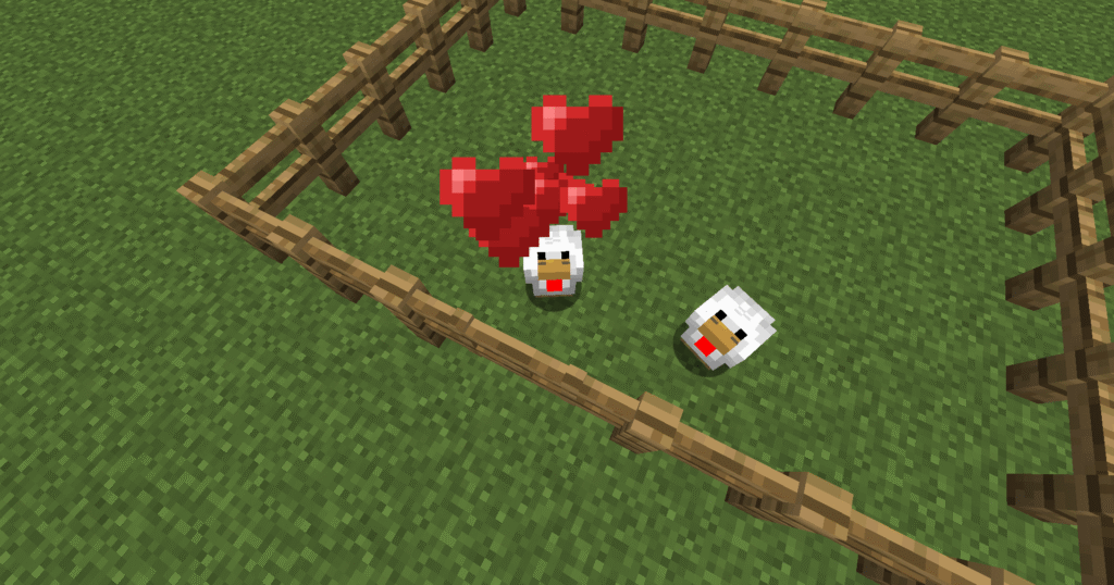 Stage 4 chicken farm