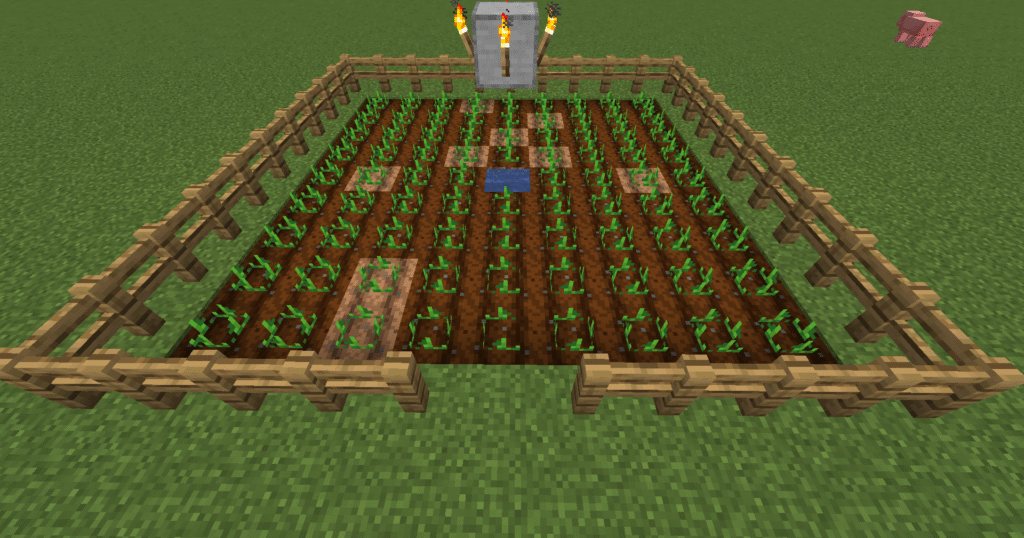 Stage 4 Minecraft potato farm