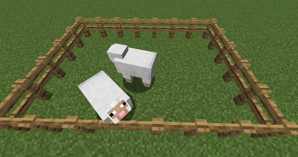 Stage 3 sheep farm