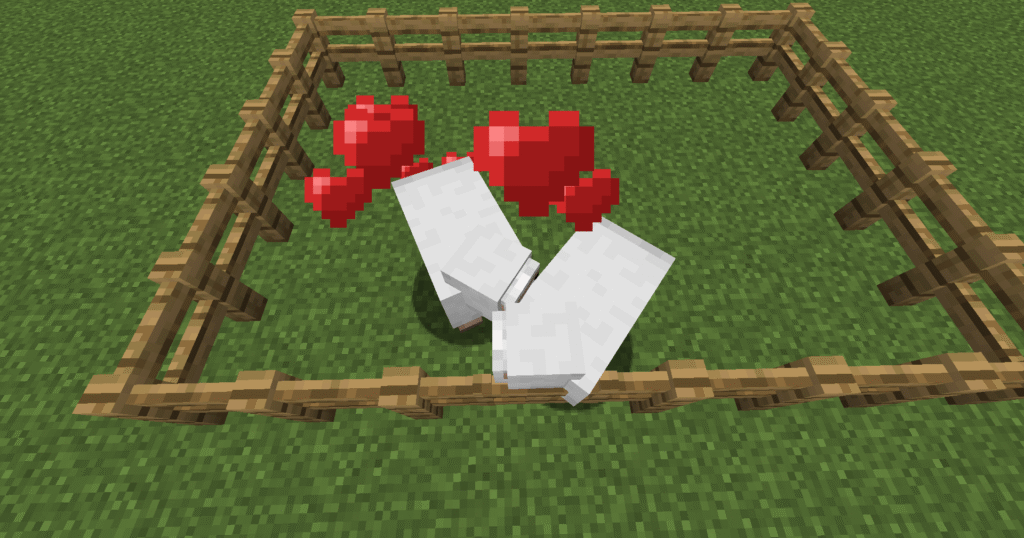 Stage 4 sheep farm