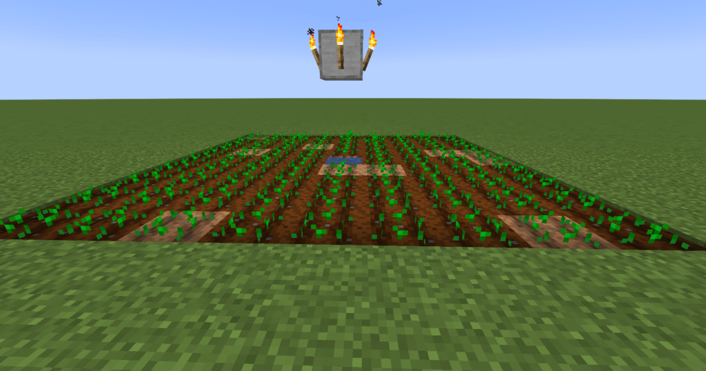 Stage 3 of Minecraft wheat farm