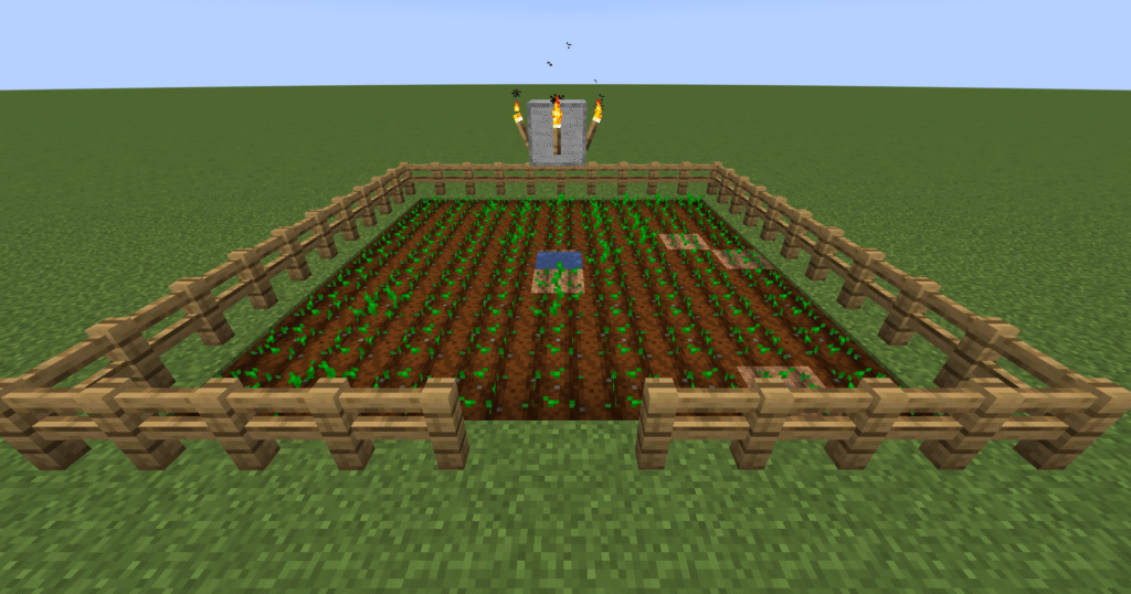 Stage 4 of Minecraft wheat farm