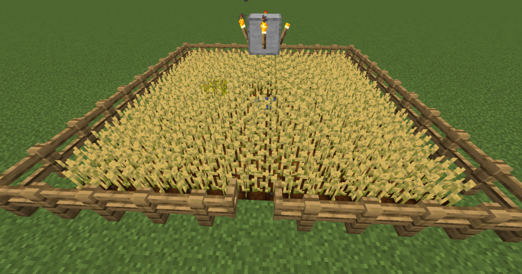 Stage 6 Minecraft wheat farm