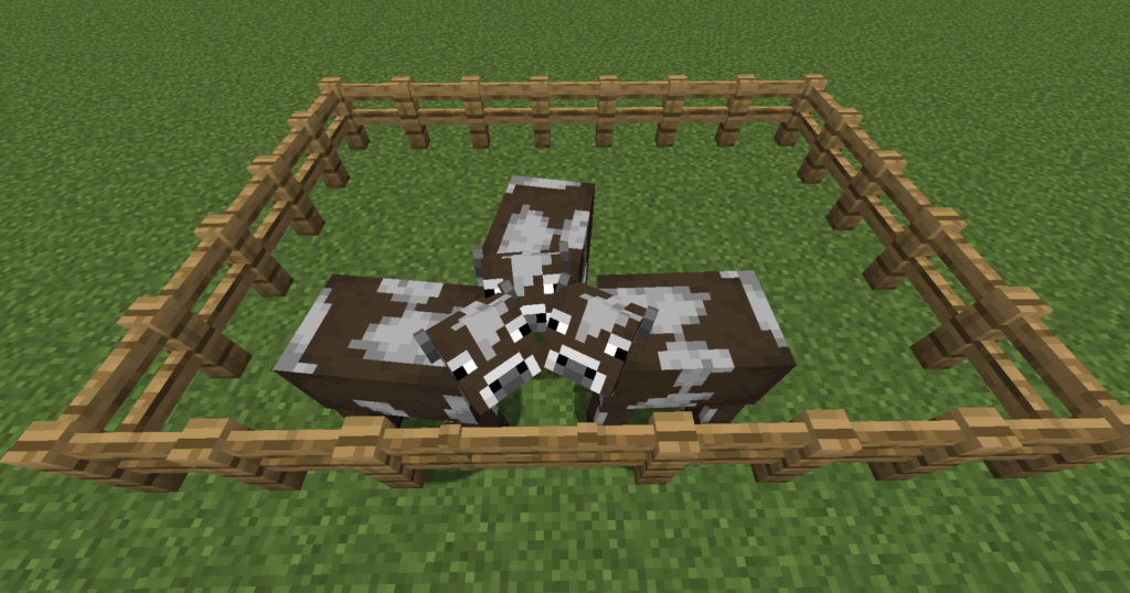 Stage 3 cow farm