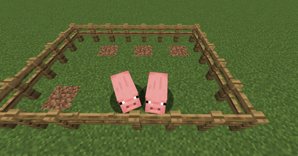 Stage 3 pig farm